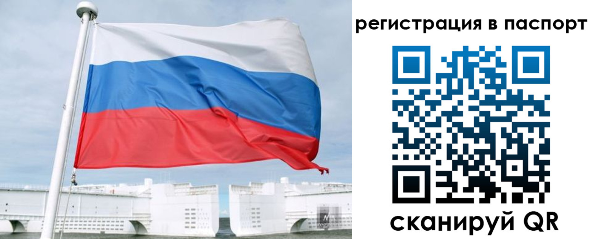регистрация в Новгородской области